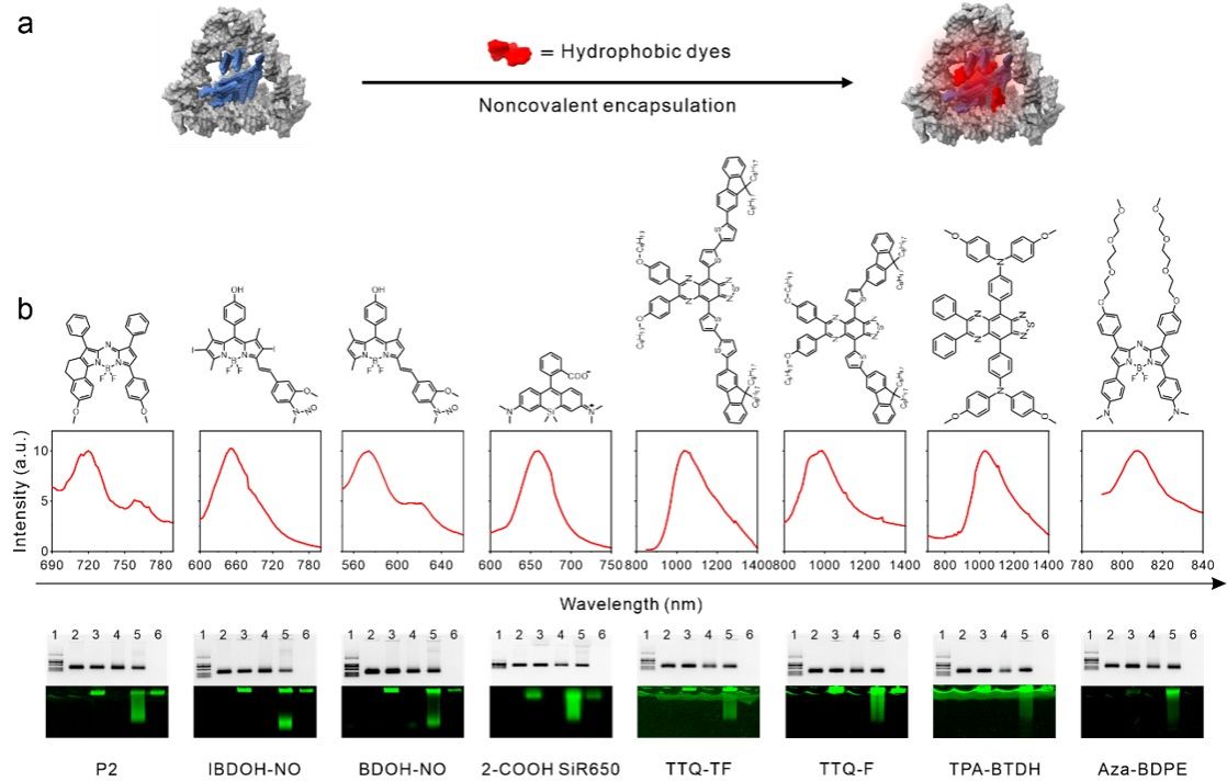 20241012-22.jpg 20241012-22.jpg